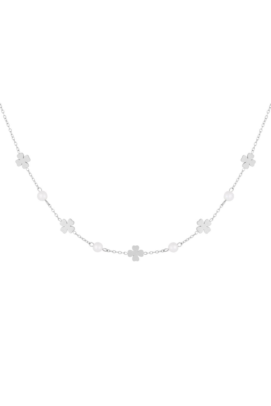 Collana portafortuna in acciaio ispirata alla natura colore argento